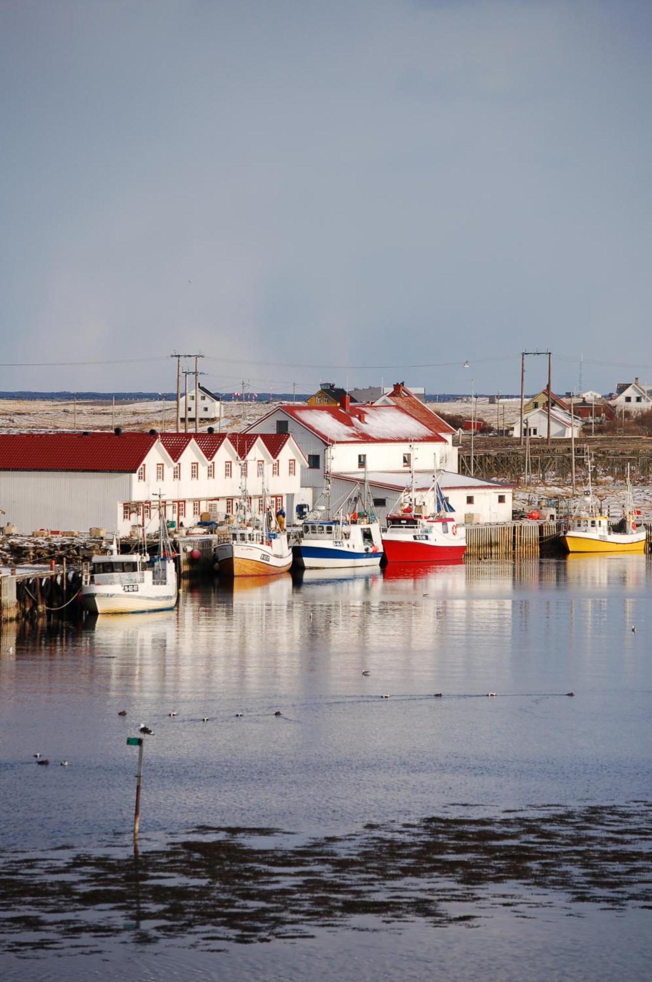 Hotel Fiskarheimen Havly, Røst Esterno foto