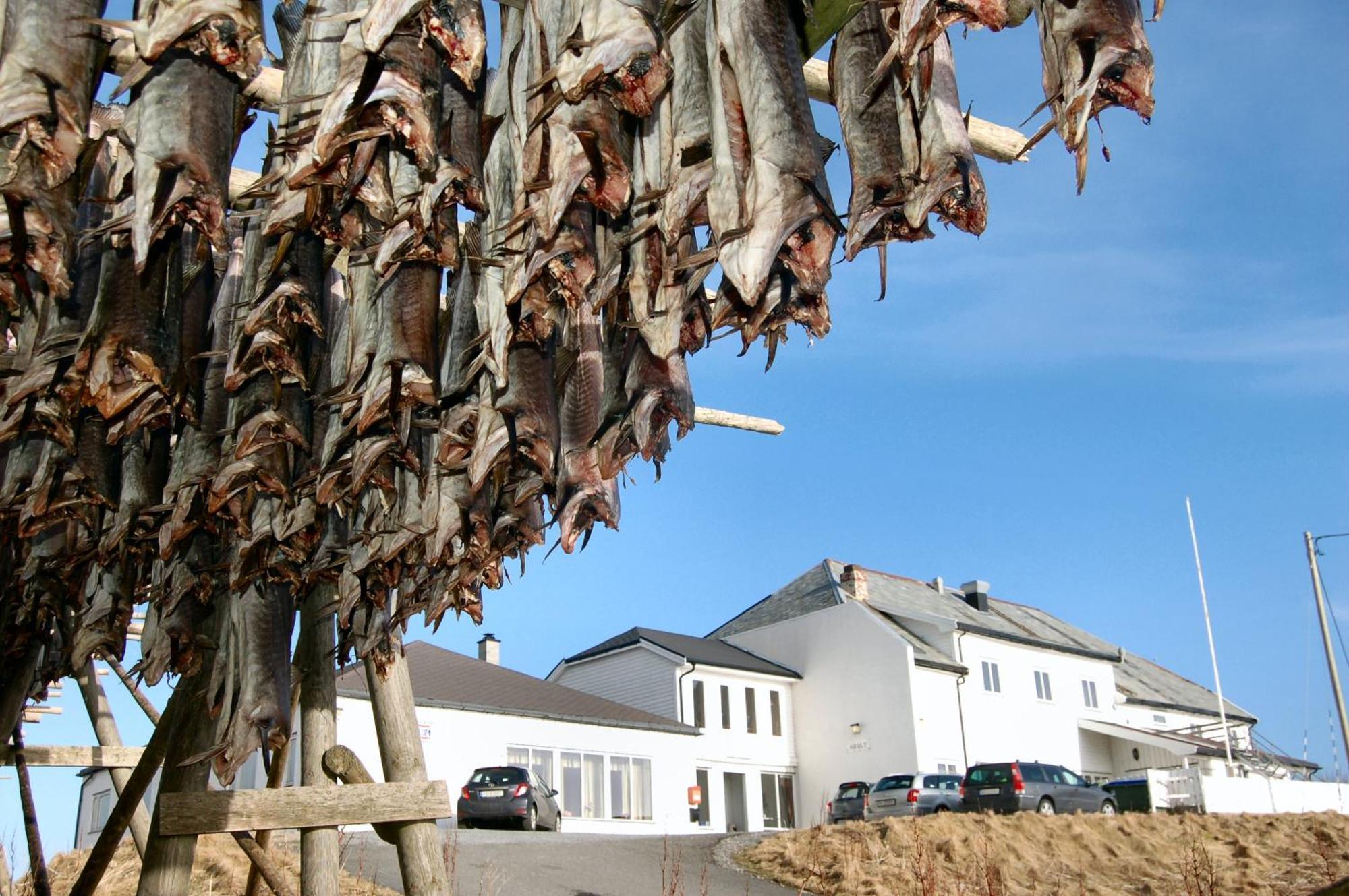 Hotel Fiskarheimen Havly, Røst Esterno foto