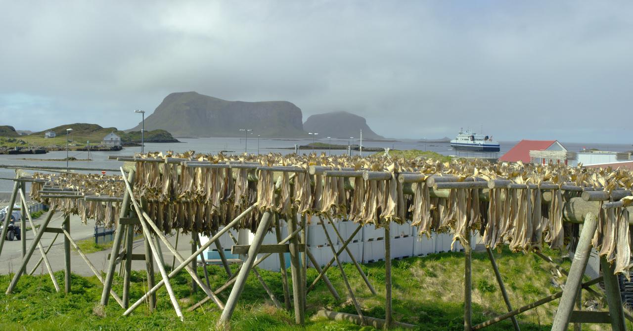 Hotel Fiskarheimen Havly, Røst Esterno foto